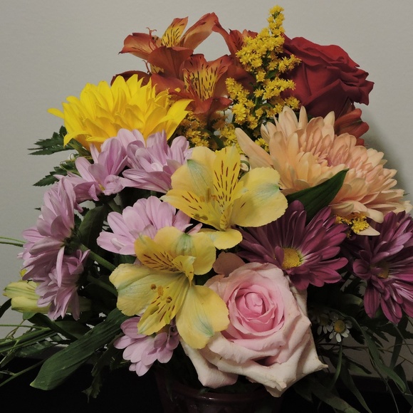 Meet your Posher, Diana - Picture 1 of 1